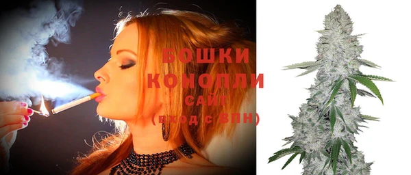 винт Горно-Алтайск