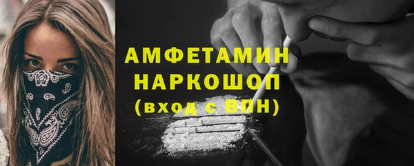 индика Горнозаводск