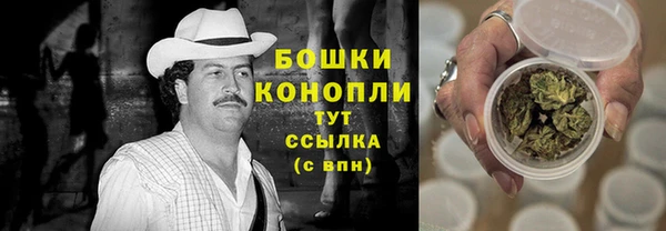 индика Горнозаводск