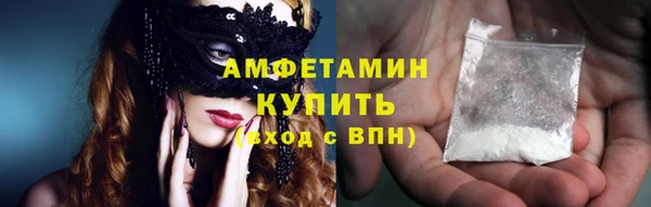 индика Горнозаводск