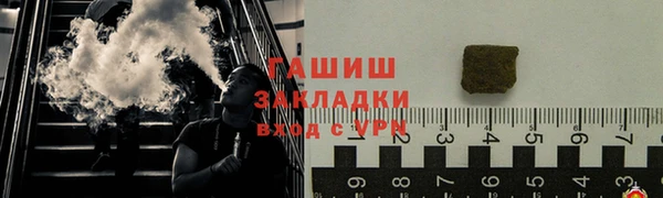 индика Горнозаводск