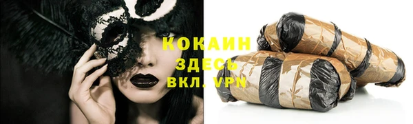 индика Горнозаводск