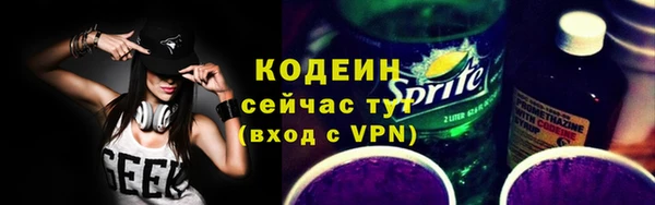 индика Горнозаводск