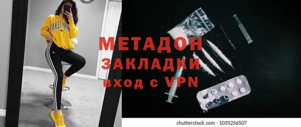 индика Горнозаводск