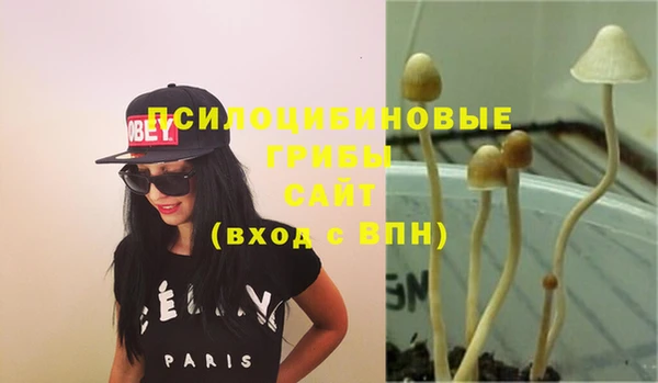 индика Горнозаводск