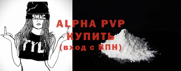 индика Горнозаводск