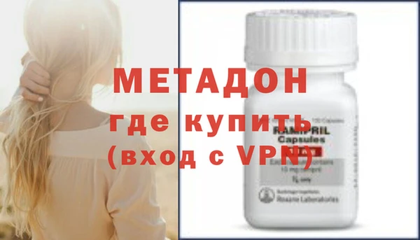 индика Горнозаводск