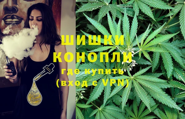винт Горно-Алтайск
