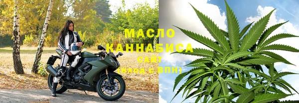 индика Горнозаводск