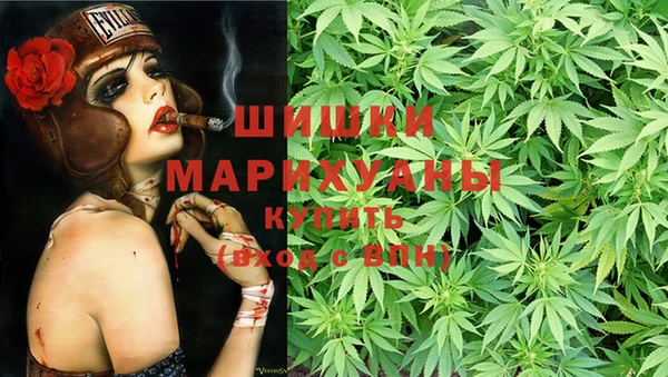 индика Горнозаводск
