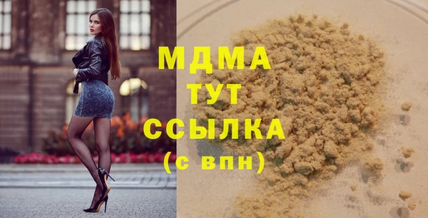 индика Горнозаводск