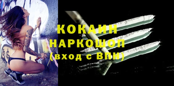 индика Горнозаводск