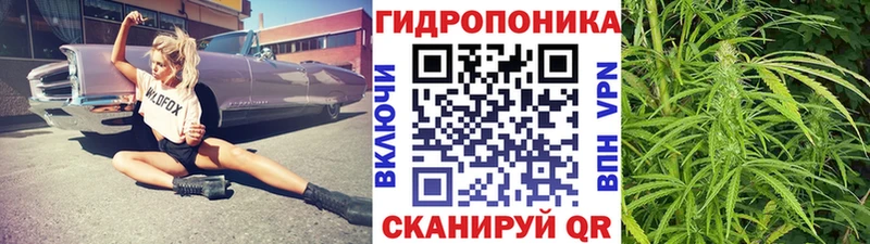 Марихуана Bruce Banner  продажа наркотиков  Оренбург 